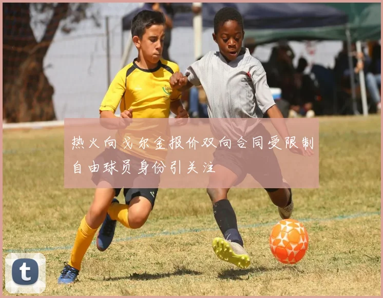热火向戈尔金报价双向合同受限制自由球员身份引关注