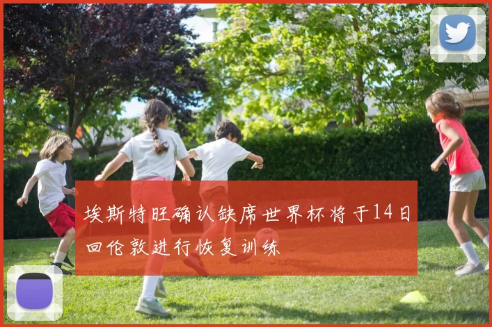 埃斯特旺确认缺席世界杯将于14日回伦敦进行恢复训练
